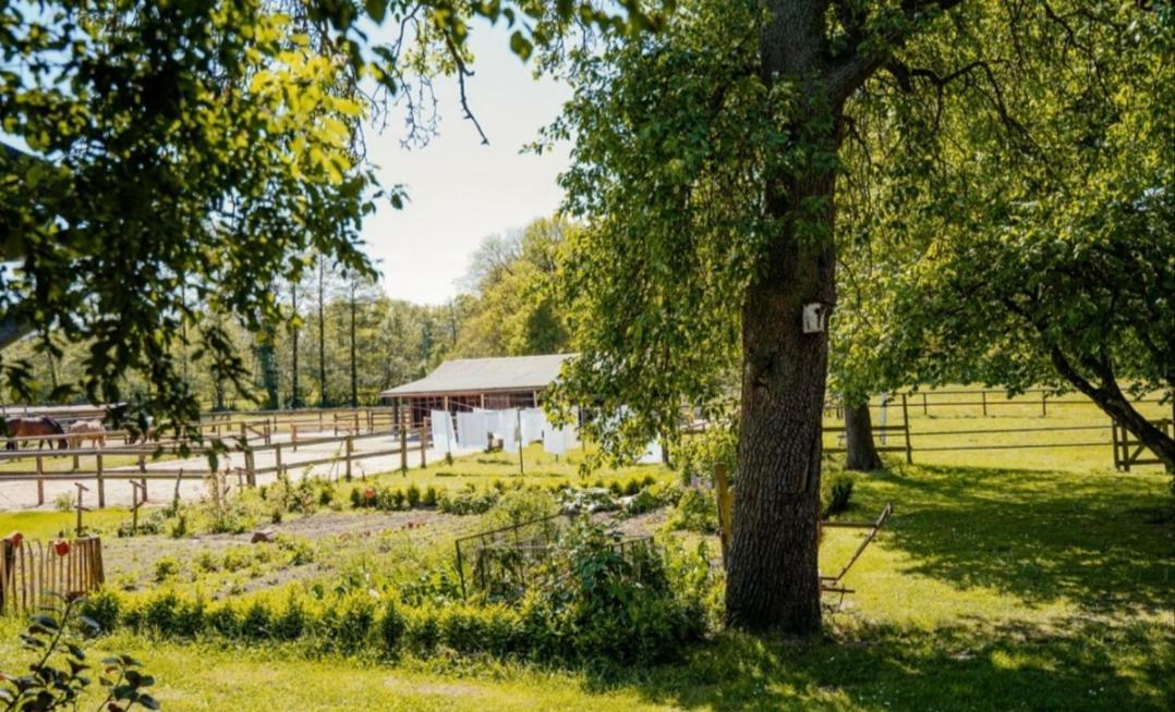 Ferienhof Trapp Ellringen Екстер'єр фото